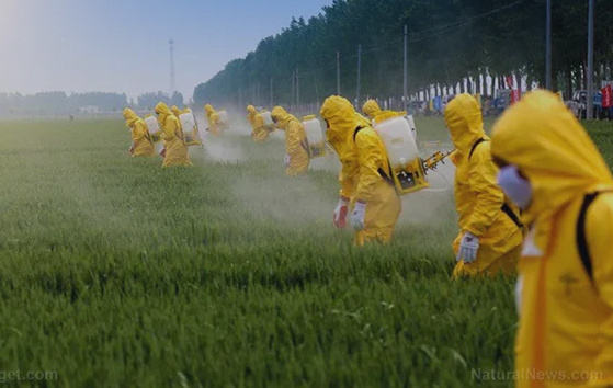 Pesticides